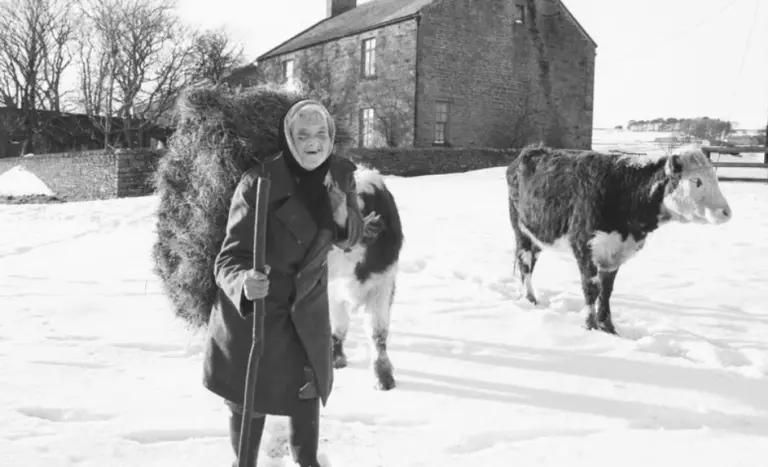 Hannah Hauxwell images